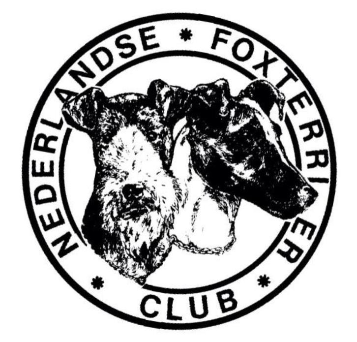 Foxterrier Draadhaar & Gladhaar, Dieren en Toebehoren, Honden | Jack Russells en Terriërs, Reu, Overige rassen, Particulier, Meerdere