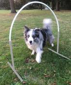 20 sets hoopers agillity (20x2 staanders met 20 bogen), Dieren en Toebehoren, Ophalen, Zo goed als nieuw, Behendigheidspeelgoed