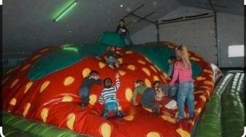 Mega springkussen aardbei 9x9 meter  beschikbaar voor biedingen
