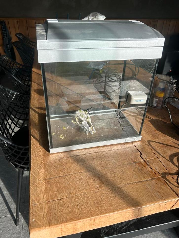 Aquarium voor tropische vissen, Dieren en Toebehoren, Vissen | Aquaria en Toebehoren, Leeg aquarium, Ophalen