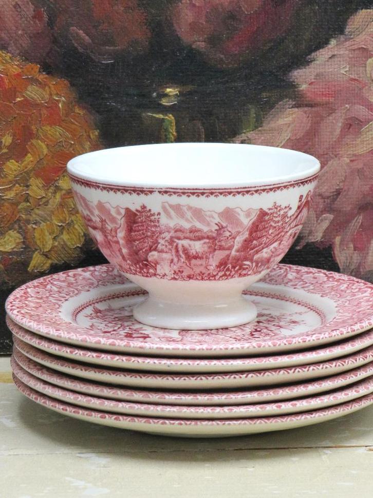 Spoelkom B.F. “Alpes” Rood, Antiek en Kunst, Antiek | Servies los, Ophalen of Verzenden