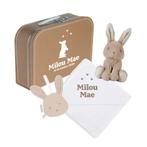 Kraamcadeau? Gevuld koffertje little dutch bunnies