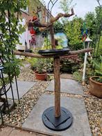 Te koop mooie speelboom, Dieren en Toebehoren, Meerdere dieren, Parkiet