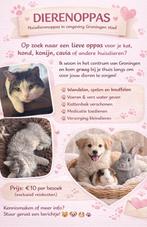 Dierenoppas omgeving Groningen, Ophalen of Verzenden
