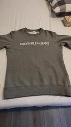 Calvin klein jeans sweater maat M, Kleding | Heren, Calvin Klein Jeans, Gedragen, Grijs, Maat 48/50 (M)