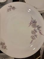 Gaaf Jaren 50 servies 52 delen Seltmann isolde, Ophalen, Porselein, Overige stijlen