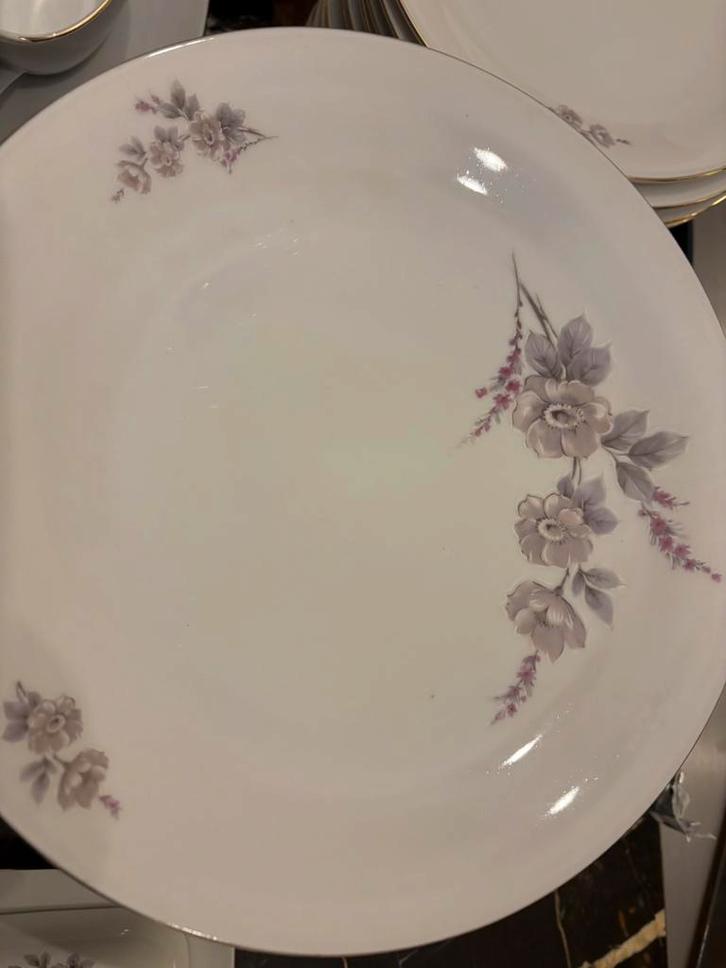 Gaaf Jaren 50 servies 52 delen Seltmann isolde, Huis en Inrichting, Keuken | Servies, Overige stijlen, Porselein, Ophalen