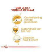 Royal Canin Maine Coon Adult - 13 kg, Ophalen of Verzenden, Kat