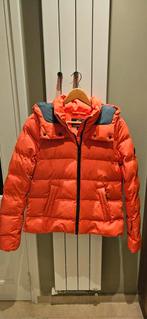 Ziener Ski Jas Dames Maat 38, Maat 38/40 (M), Ophalen of Verzenden, Zo goed als nieuw, Jack