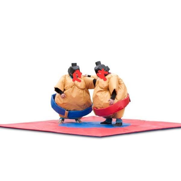 Sumoworstelen voor kids complete set, Hobby en Vrije tijd, Feestartikelen, Zo goed als nieuw, Ophalen