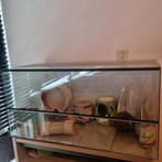 Terrarium / hamsterkooi, Dieren en Toebehoren, Knaagdieren en Konijnen | Hokken en Kooien, Gebruikt, Overige typen, Hamster, 75 tot 110 cm