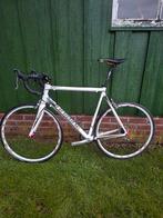 Haibike Tour RC Wielrenfiets  Maat 60 cm, Fietsen en Brommers, Fietsen | Racefietsen, 28 inch, Heren, Aluminium, Zo goed als nieuw