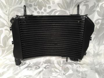 Streetfigter radiateur boven beschikbaar voor biedingen