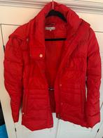 Mooie rode wnterjas Tommy Hilfiger, Kleding | Dames, Jassen | Winter, Ophalen of Verzenden, Zo goed als nieuw, Rood