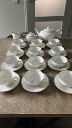 Bavaria servies met winterling merk, Ophalen