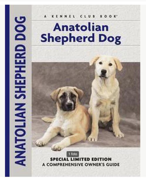 Anatolian Shepherd Dog - Richard Beauchamp, Boeken, Dieren en Huisdieren, Zo goed als nieuw, Honden, Ophalen of Verzenden