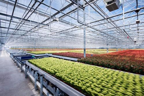 Innovatieve Teeltspecialist, Vacatures, Vacatures | Landbouw, Natuur en Milieu, Tijdelijk contract, 33 - 40 uur