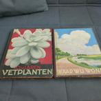Verkade plaatjes Albums, Ophalen of Verzenden, Gelezen, Plaatjesalbum