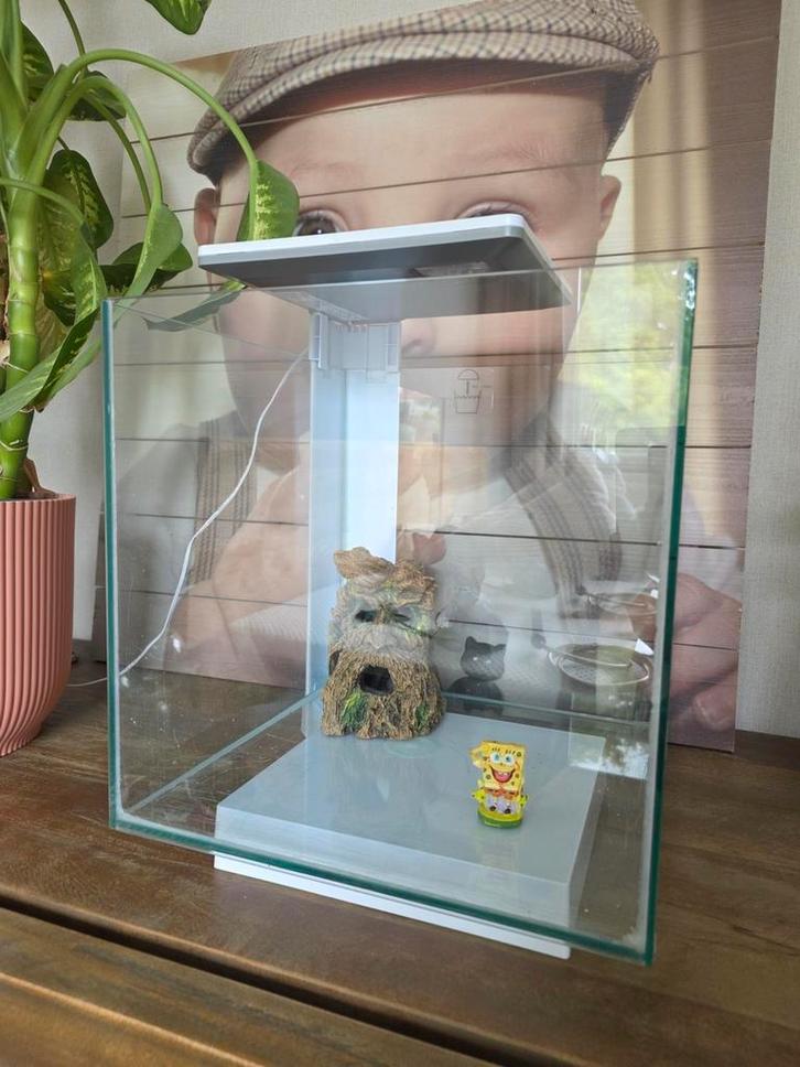 QUBIQ 30 PRO aquarium met toebehoren., Dieren en Toebehoren, Vissen | Aquaria en Toebehoren, Leeg aquarium, Ophalen