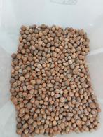 3,5 kilo hazelnoten in dop, Diversen, Levensmiddelen, Ophalen of Verzenden