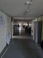 20 Goedkope De Meeuw units Frames Kooien, Ophalen