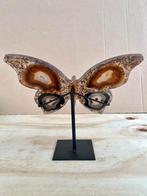 Agaat druzy Vlinder in hars, Ophalen of Verzenden