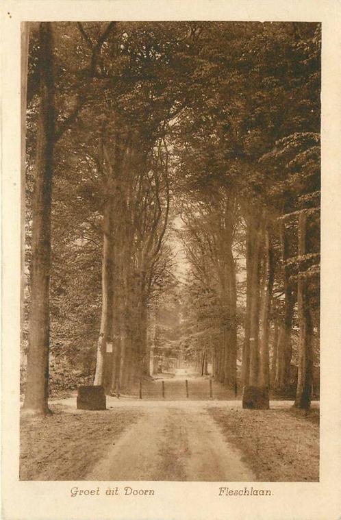 (388-363-055) Doorn Fleschlaan, Verzamelen, Ansichtkaarten | Nederland, Utrecht, Verzenden