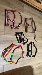 Alle halsters, Ophalen of Verzenden