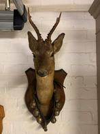 Brocante allerlei, Ophalen of Verzenden