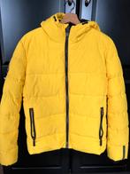 Superdry Puffer Jas, Kleding | Heren, Jassen | Winter, Maat 46 (S) of kleiner, Ophalen of Verzenden, Zo goed als nieuw, Superdry