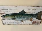 Vintage Vis Prent op Hout, Antiek en Kunst, Ophalen of Verzenden