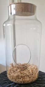 Open terrarium, Ophalen of Verzenden, Zo goed als nieuw