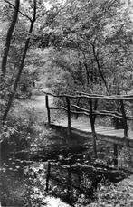 (377-605-025) Bergen NH Dromenlaantje, Verzamelen, Ansichtkaarten | Nederland, Verzenden, Noord-Holland