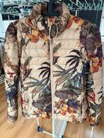 Airforce jack maat M, Kleding | Dames, Jassen | Winter, Ophalen, Zo goed als nieuw, Maat 38/40 (M), Zwart