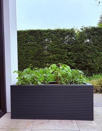 Frake gespoten houtenplantenbak beschikbaar voor biedingen