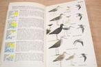 Elseviers Gids van de Europese Vogels [1977], Boeken, Ophalen of Verzenden, Gelezen, Vogels
