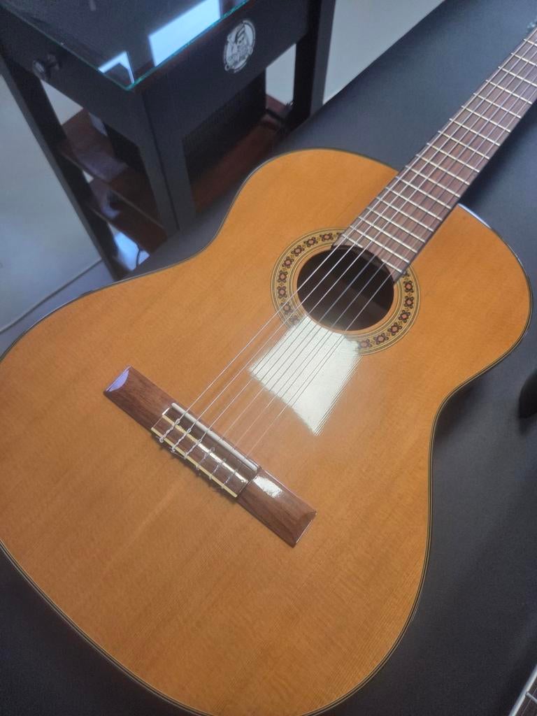 Washburn c 40 Spaanse/klassieke gitaar, in zgan staat., Muziek en Instrumenten, Ophalen, Zo goed als nieuw, Klassieke of Spaanse gitaar