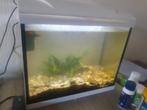Prachtig aquarium. Slechts 4 maanden gebruikt. Met waterfilt, Ophalen of Verzenden, Zo goed als nieuw