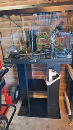 Wegens verhuizing aquarium 60x40x30 als nieuw, Dieren en Toebehoren, Vissen | Aquaria en Toebehoren, Ophalen, Zo goed als nieuw