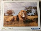 Leeuw, Afrika, natuur, 1000, Hobby en Vrije tijd, Denksport en Puzzels, Ophalen of Verzenden, 500 t/m 1500 stukjes, Zo goed als nieuw