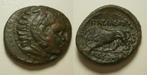 Griekse munt Macedonië - koning Kassander -AE - 305-297 BC, Postzegels en Munten, Munten | Europa | Niet-Euromunten, Losse munt