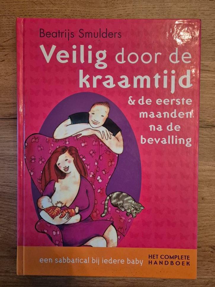 Veilig door de kraamtijd - Beatrijs Smulders, Boeken, Zwangerschap en Opvoeding, Zo goed als nieuw, Zwangerschap en Bevalling