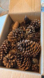 Doosje denneappels, Ophalen, Zo goed als nieuw