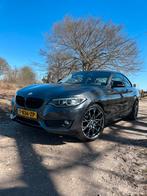BMW 2-Serie 1.5 218I Coupe 2015 Grijs, Auto's, BMW, 65 €/maand, 680 kg, 4 stoelen, 2-Serie
