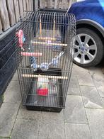 Vogelkooi, Dieren en Toebehoren, Ophalen, Gebruikt, Metaal, Vogelkooi