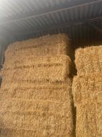 Gerstestro, Dieren en Toebehoren, Ophalen of Verzenden, Vee