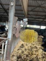 Koeborstels werkend delaval en vander poel, Dieren en Toebehoren, Stalling en Weidegang, Toebehoren