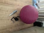 Yoga bal, Sport en Fitness, Yoga en Pilates, Ophalen, Zo goed als nieuw, Yoga-accessoire