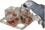 Gezocht: foerageer carousel papegaai, Dieren en Toebehoren, Ophalen of Verzenden, Zo goed als nieuw, Speelgoed