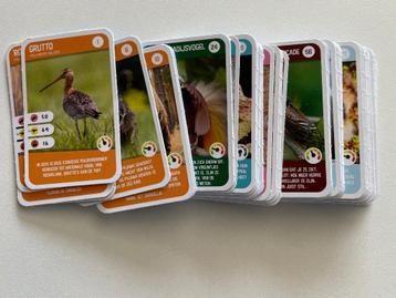 AH Dierenplaatjes Freek Vonk – Complete Set (96 stuks) beschikbaar voor biedingen